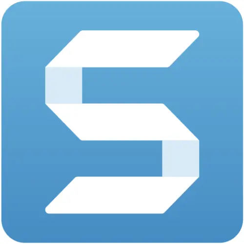 Herramientas WordPress profesionales - snagit